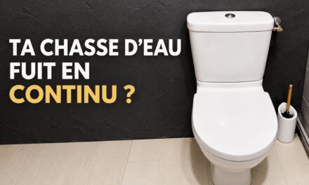 Ta chasse d’eau fuit en continu ?