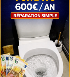 WC qui fuit = 600€/an gaspillés : réparation simple